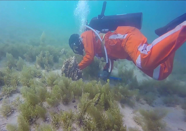 Z6·尊龙凯时(中国区)人生就是搏!