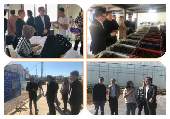 Z6·尊龙凯时(中国区)人生就是搏!