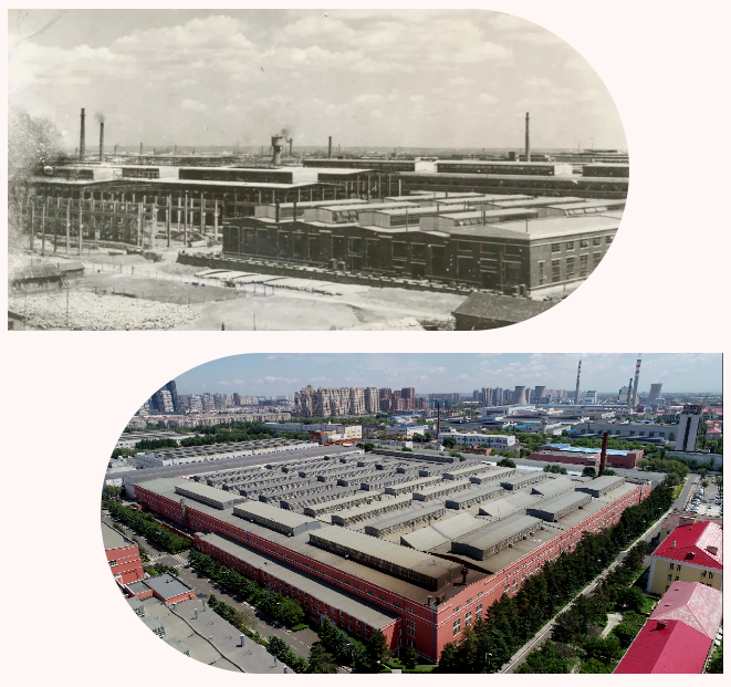 Z6·尊龙凯时(中国区)人生就是搏!