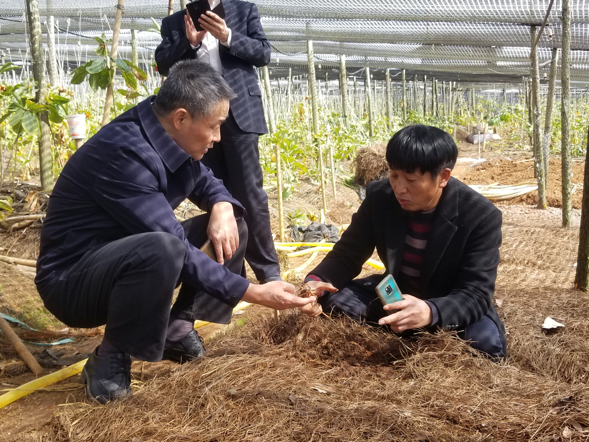 Z6·尊龙凯时(中国区)人生就是搏!