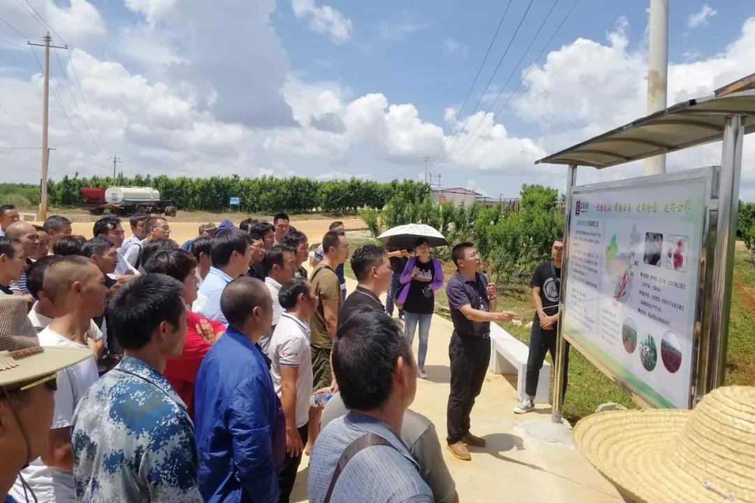 Z6·尊龙凯时(中国区)人生就是搏!